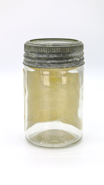 Antique Mison Jar